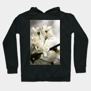 Cherry blossom Hoodie